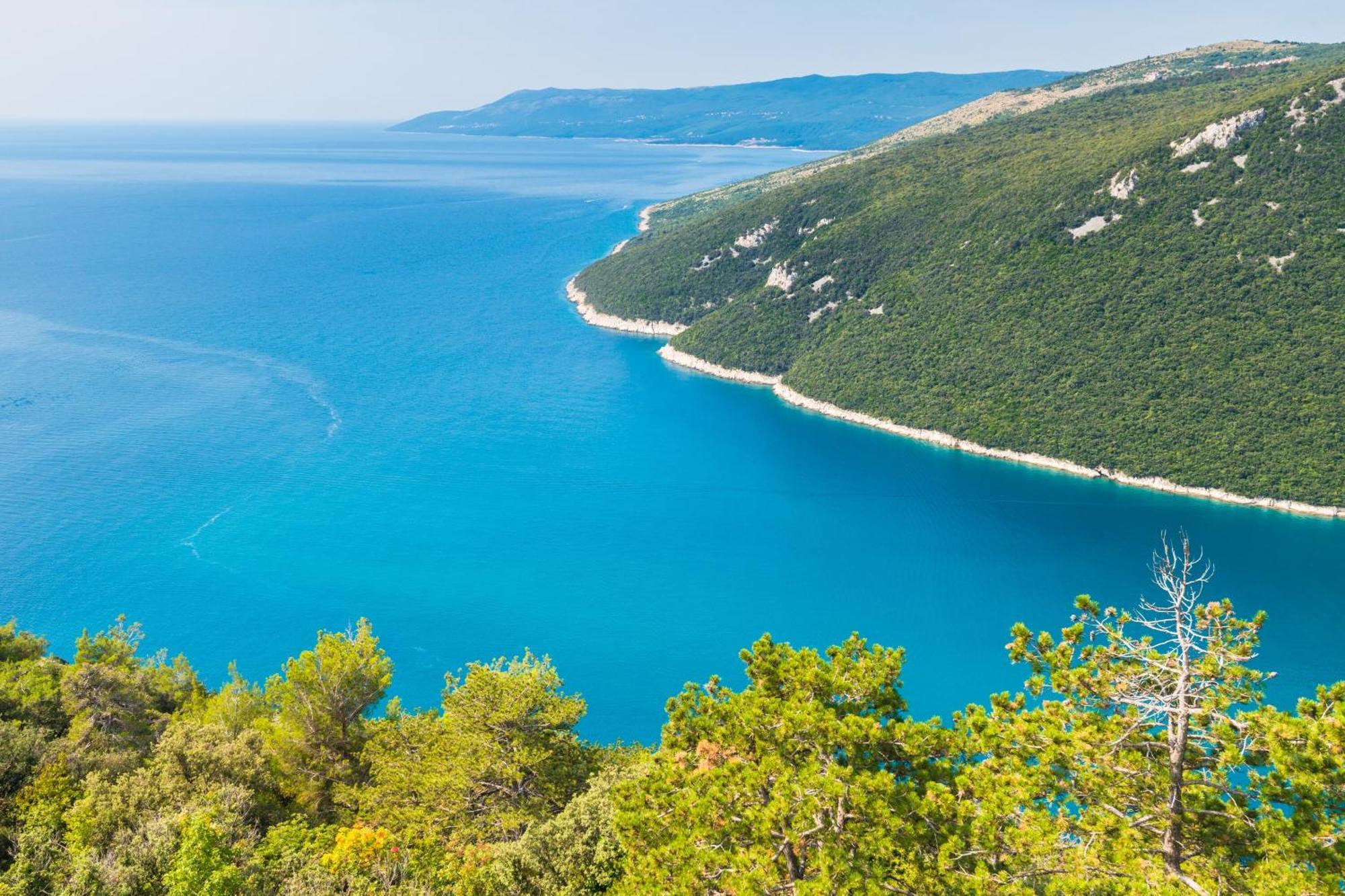 Seafront Villa Andrijana - Happy Rentals Plomin Exteriör bild